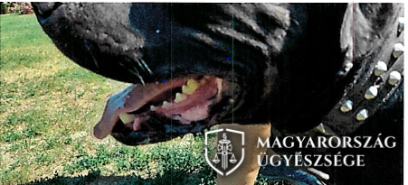 fogsor logo