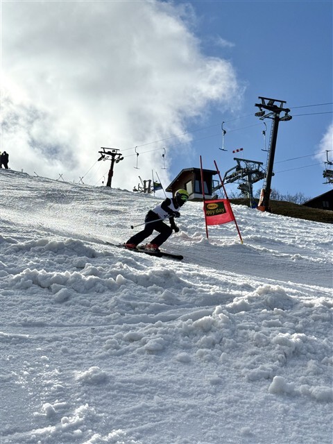IMG 0330 480 x 640