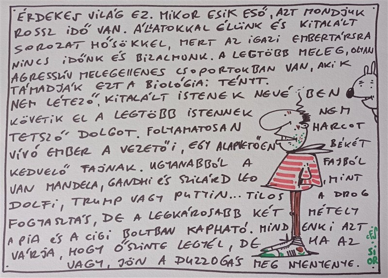 Sior: rajzok haza 79.