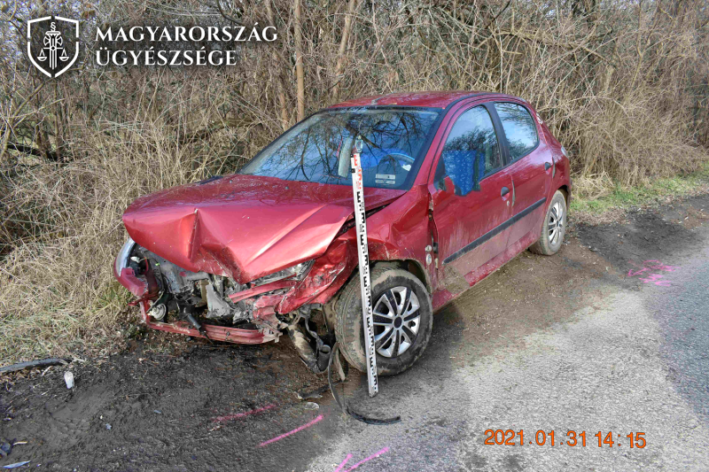 baleset halastó logó