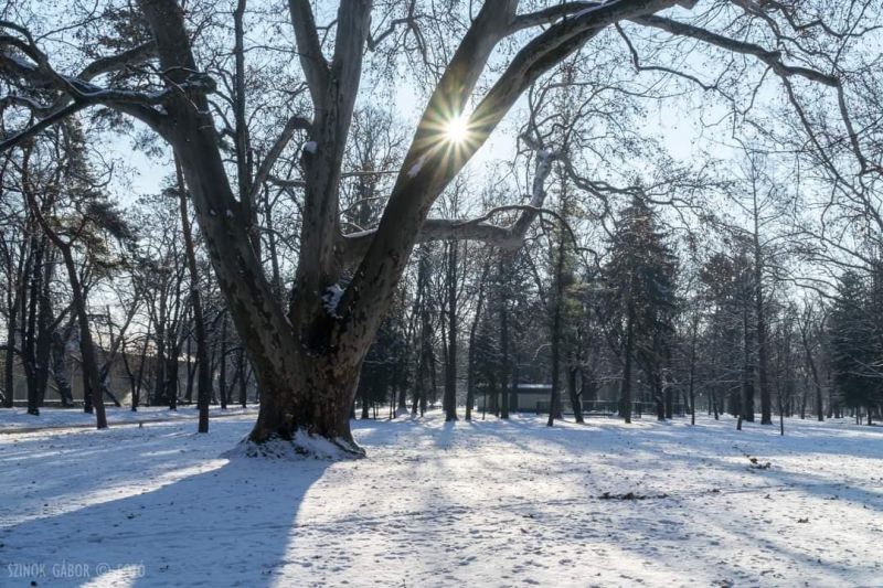 érsekkert-hó2