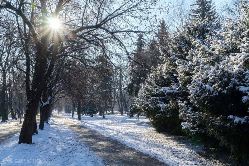 érsekkert-hó3