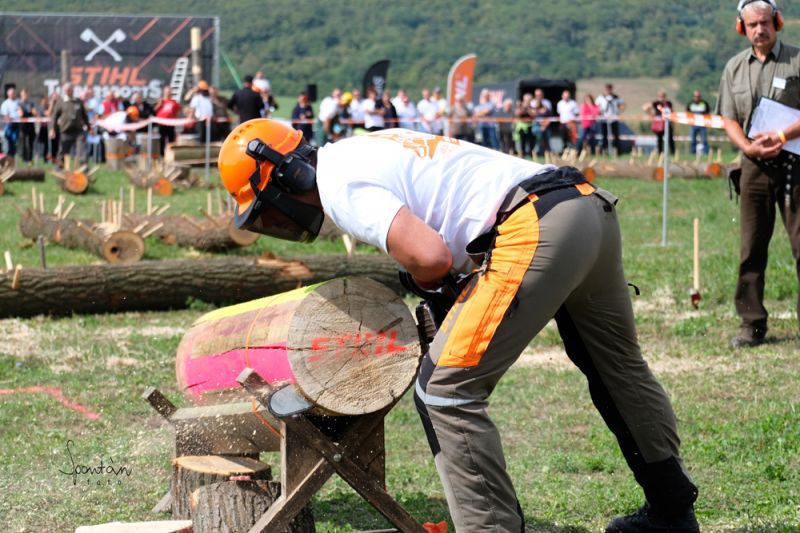 DSCF0482_logo_kicsi