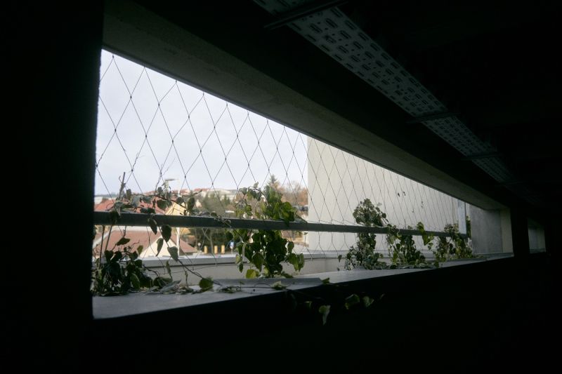 DSC0494617