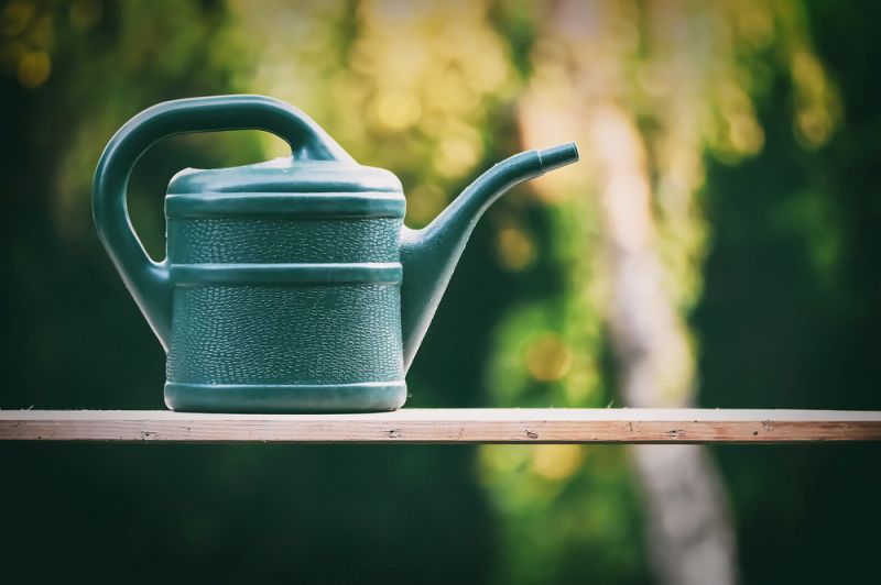 watering-can-5202988_1280