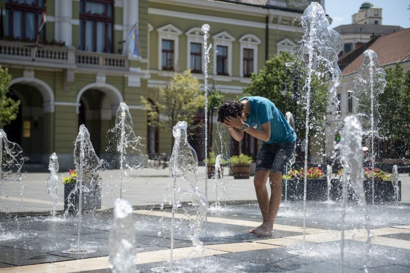 eger-meleg-mti-komka-