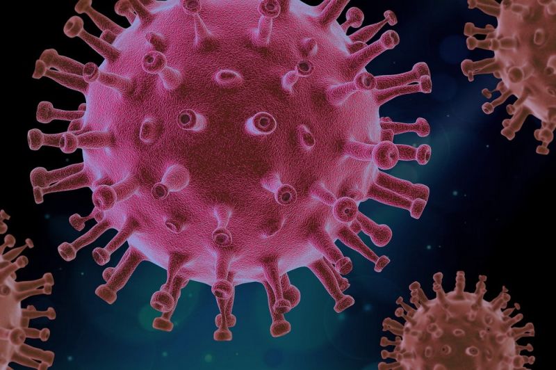 virus-4937553_1920