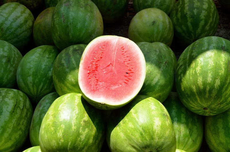 water-melon-g6c0739af3_1280