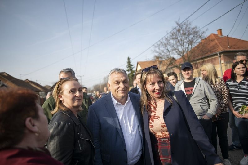 orbán-libák