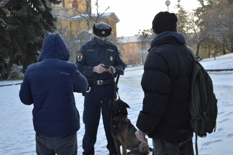kutyas-jaror-police