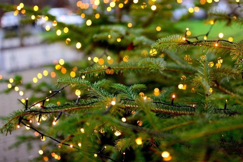 karácsonyfa-égősor-pixabay