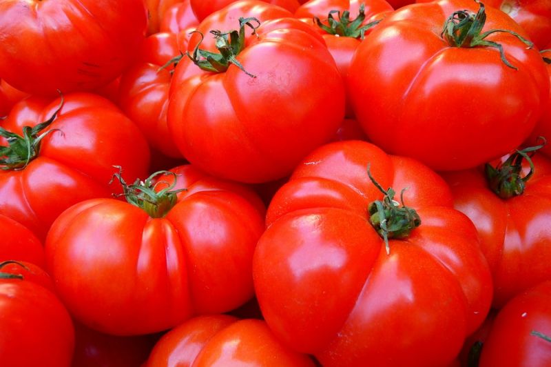 tomatoes-5356_1280